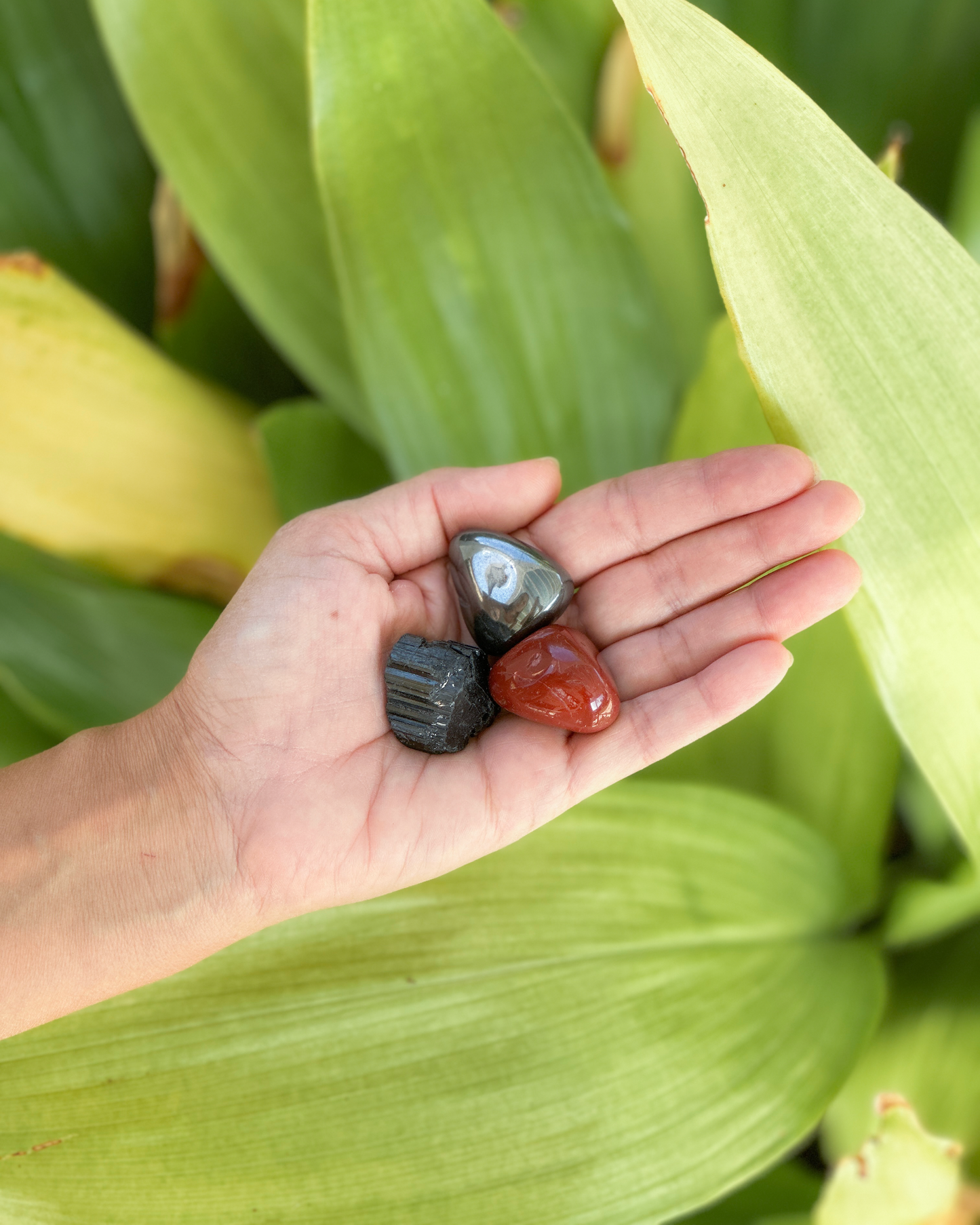 Kit Cristalli 1° Chakra